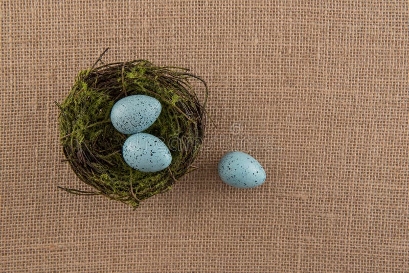 Blaue gesprenkelte Eier und Nest lizenzfreies stockbild Blaue gesprenkelte Eier und Nest lizenzfreies stockbild