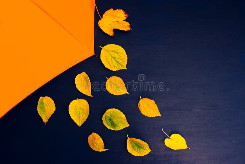 Blaue Orange der gelben Blätter des Herbstsegeltuchhintergrundregenschirmes gelben lizenzfreies stockfoto Blaue Orange der gelben Blätter des Herbstsegeltuchhintergrundregenschirmes gelben lizenzfreies stockfoto