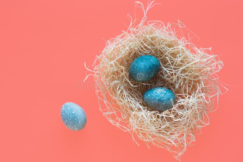 Blaue Ostereier liegen in einem Nest auf einem korallenroten Hintergrund Beschneidungspfad eingeschlossen stockfotos Blaue Ostereier liegen in einem Nest auf einem korallenroten Hintergrund Beschneidungspfad eingeschlossen stockfotos