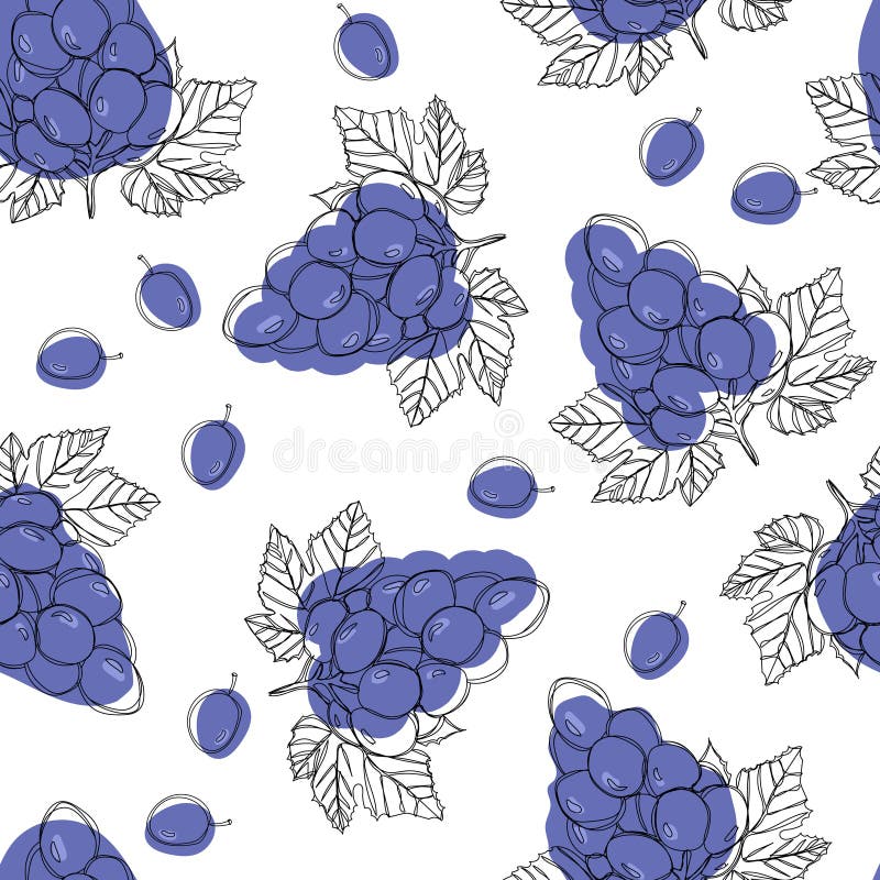 Blaue reife Traubenbeeren, nahtloses Vektormuster lokalisiert auf weißem Hintergrund stock abbildung Blaue reife Traubenbeeren, nahtloses Vektormuster lokalisiert auf weißem Hintergrund stock abbildung