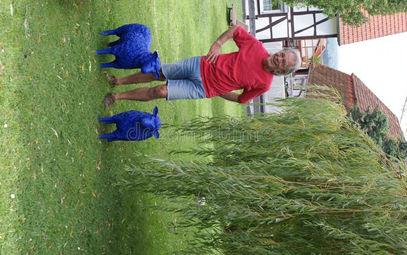 2 Blaue Schafe Als Zahlen Im Garten Sind Lustig Stockbild