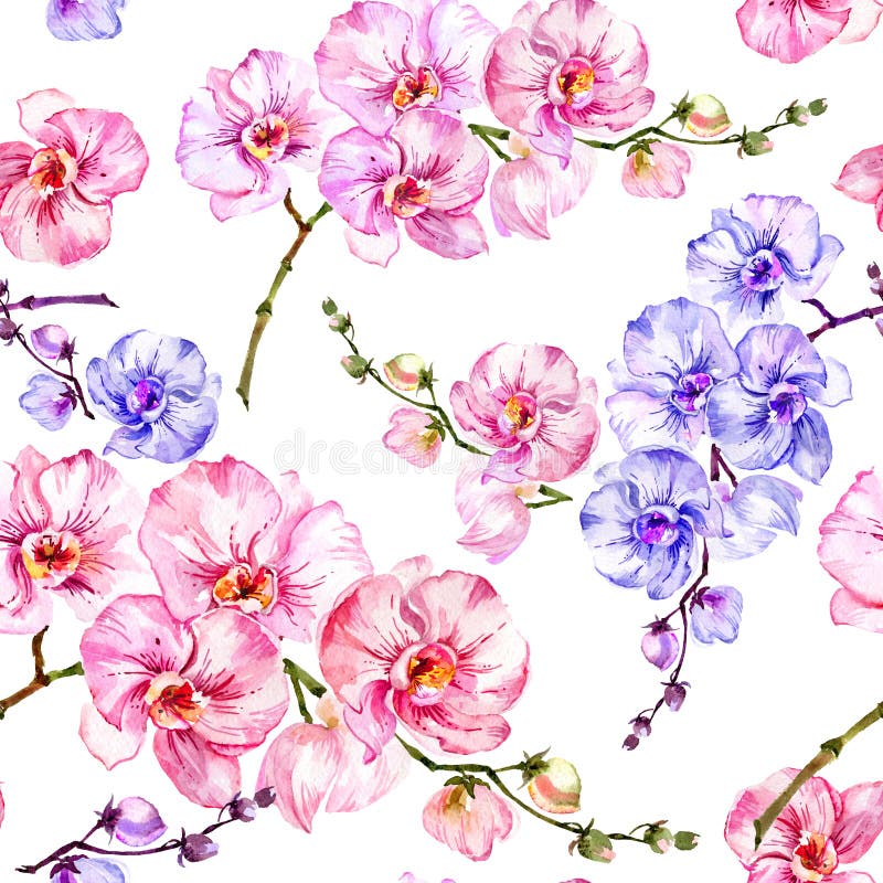 Blaue und rosa Orchidee blüht auf weißem Hintergrund Nahtloses Blumenmuster Adobe Photoshop für Korrekturen Hand gezeichnete Abbi lizenzfreie abbildung