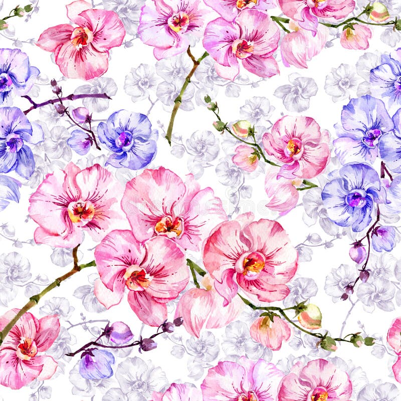 Blaue und rosa Orchidee blüht mit Entwürfen auf weißem Hintergrund Nahtloses Blumenmuster Adobe Photoshop für Korrekturen lizenzfreie abbildung