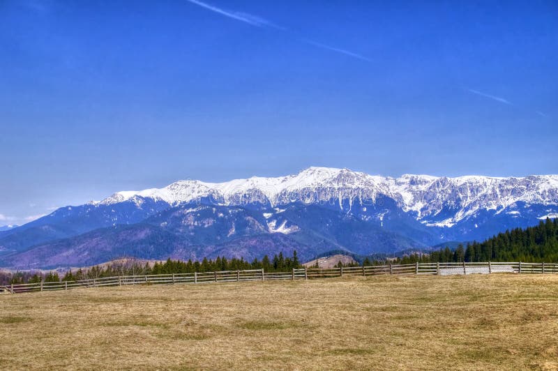 Blauer Himmel, schneebedeckter Berg, Wald und Wiese lizenzfreie stockbilder Blauer Himmel, schneebedeckter Berg, Wald und Wiese lizenzfreie stockbilder