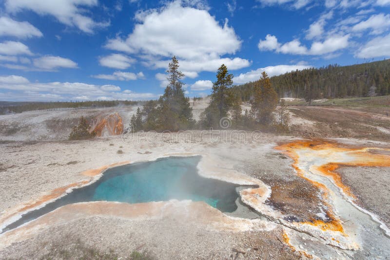 Blauer Stern-Frühling, Yellowstone, Wyoming, USA lizenzfreie stockfotos Blauer Stern-Frühling, Yellowstone, Wyoming, USA lizenzfreie stockfotos