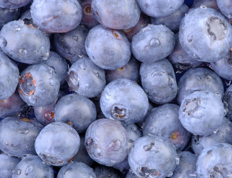 53+ Blaubeere Zierpflanze, Mit diesem gruß verabschiedet sich die