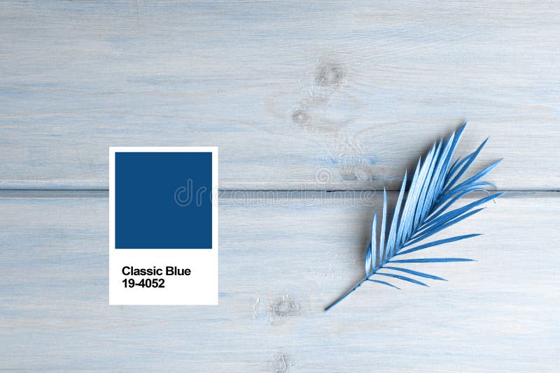 Blaues, klassisches Palmenblatt auf hellblauem Holzboden Kreatives minimales modernes Konzept des organischen Schönheitstrends lizenzfreie stockbilder Blaues, klassisches Palmenblatt auf hellblauem Holzboden Kreatives minimales modernes Konzept des organischen Schönheitstrends lizenzfreie stockbilder