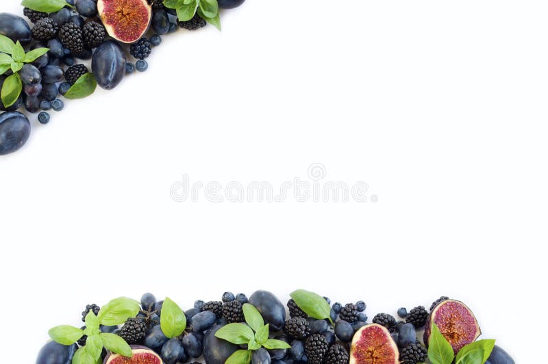 Blauw en purper voedsel Groep verse vruchten en bessen met basilicum ` s op een witte achtergrond royalty-vrije stock foto Blauw en purper voedsel Groep verse vruchten en bessen met basilicum ` s op een witte achtergrond royalty-vrije stock foto