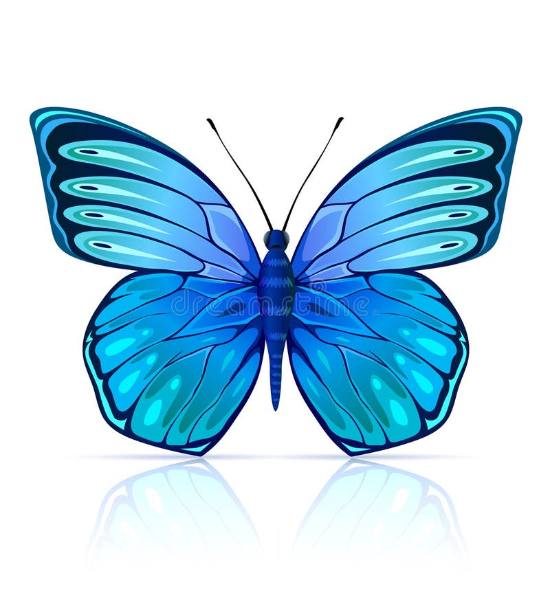 Blue butterfly insect isolated - illustration. Blue butterfly insect isolated - illustration