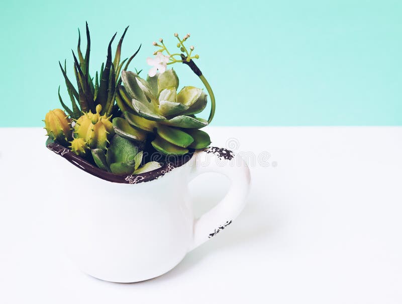 Blauwe achtergrond met cactus in pot en met kopieerruimte stock afbeeldingen Blauwe achtergrond met cactus in pot en met kopieerruimte stock afbeeldingen