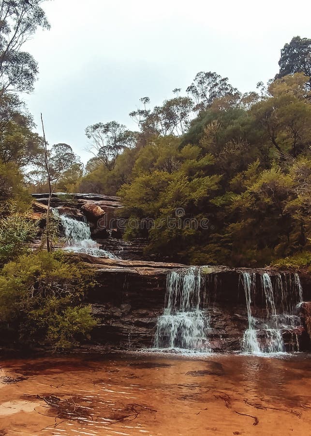 Blauwe Bergenwaterval, Australi? stock fotografie Blauwe Bergenwaterval, Australi? stock fotografie