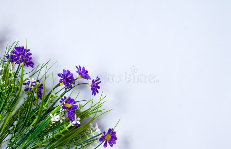 Blauwe bloemen op witte achtergrond stock foto Blauwe bloemen op witte achtergrond stock foto