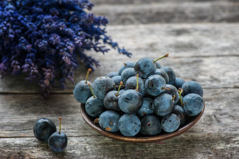 Blauwe de sleedoornbessen van de de herfstoogst op een houten lijst met een boeket van lavendel op de achtergrond De ruimte van h royalty-vrije stock foto's Blauwe de sleedoornbessen van de de herfstoogst op een houten lijst met een boeket van lavendel op de achtergrond De ruimte van h royalty-vrije stock foto's