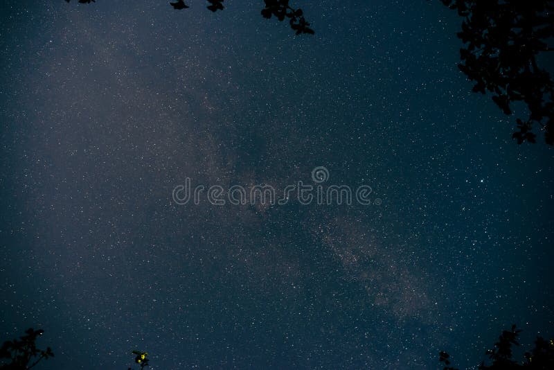 Blauwe donkere nachthemel met vele sterren boven gebied van bomen stock foto Blauwe donkere nachthemel met vele sterren boven gebied van bomen stock foto