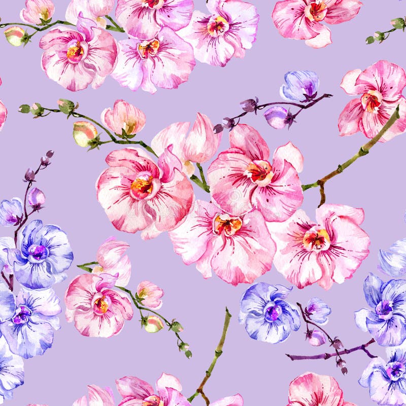 Blauwe en roze orchideebloemen op lichte lilac achtergrond Naadloos BloemenPatroon Het Schilderen van de waterverf Hand getrokken vector illustratie Blauwe en roze orchideebloemen op lichte lilac achtergrond Naadloos BloemenPatroon Het Schilderen van de waterverf Hand getrokken vector illustratie