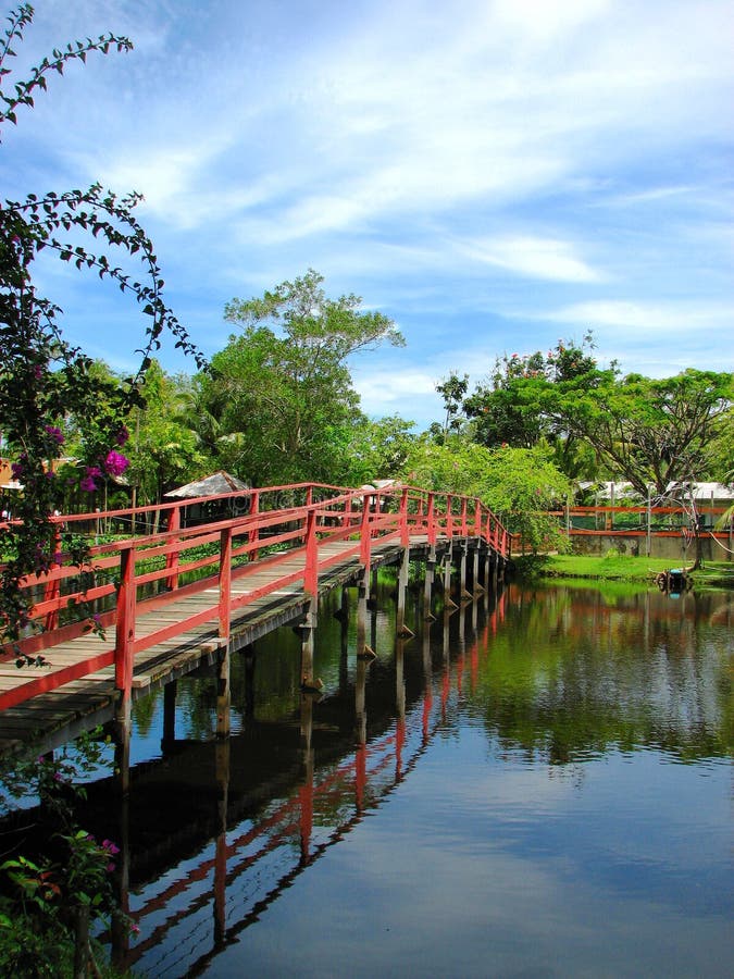 A beautiful lakeside in Miri Crocodile Farm, Borneo, Malaysia. A beautiful lakeside in Miri Crocodile Farm, Borneo, Malaysia