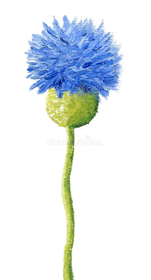 Blauwe korenbloem stock illustratie Blauwe korenbloem stock illustratie