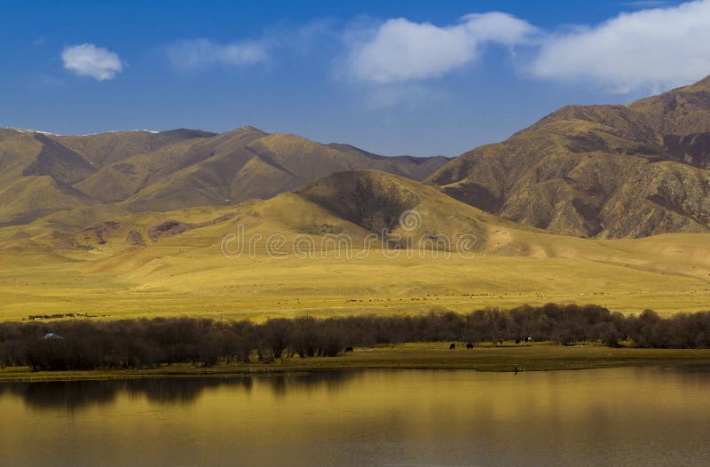Blauwe meer en autum China royalty-vrije stock afbeeldingen Blauwe meer en autum China royalty-vrije stock afbeeldingen