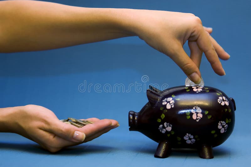 Blauw Varkentje royalty-vrije stock foto