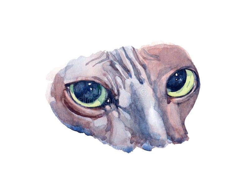 Blauwe Sphynx-Kat met groene ogen die zich in profiel op witte bac bevinden vector illustratie Blauwe Sphynx-Kat met groene ogen die zich in profiel op witte bac bevinden vector illustratie
