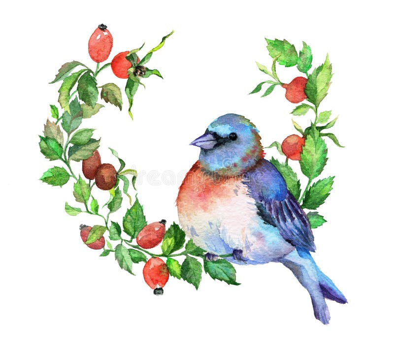 Blauwe vogel op de briar tak stock illustratie Blauwe vogel op de briar tak stock illustratie