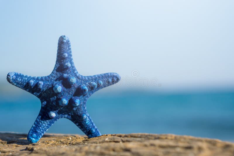 Blauwe zeester die zich op rots bij het strand bevinden Vage blauwe overzees op achtergrond royalty-vrije stock foto Blauwe zeester die zich op rots bij het strand bevinden Vage blauwe overzees op achtergrond royalty-vrije stock foto