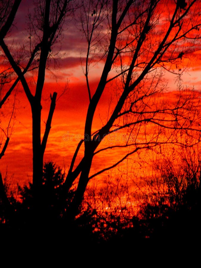 Blazing November Sunset stock image. Image of brilliant 45586423
