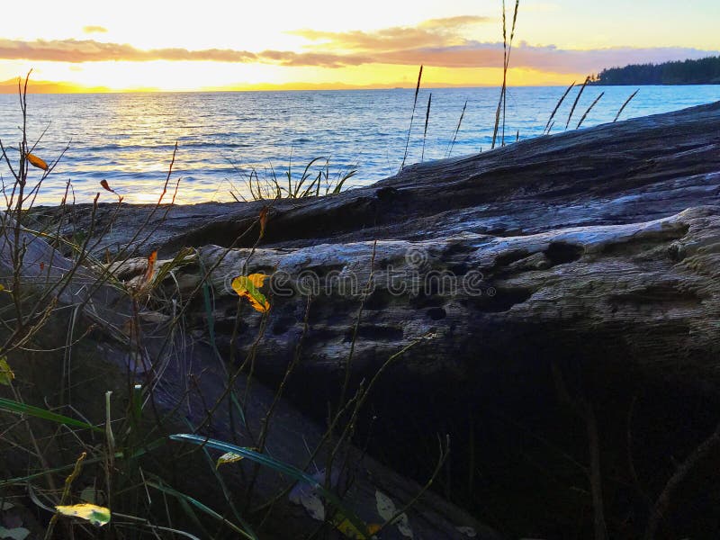 Blazing Pacific Sunset at French Beach, BC