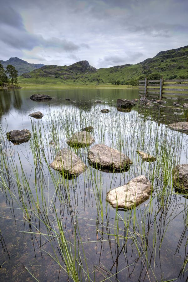 Blea Tarn stock image. Image of serene, water, district 153789367