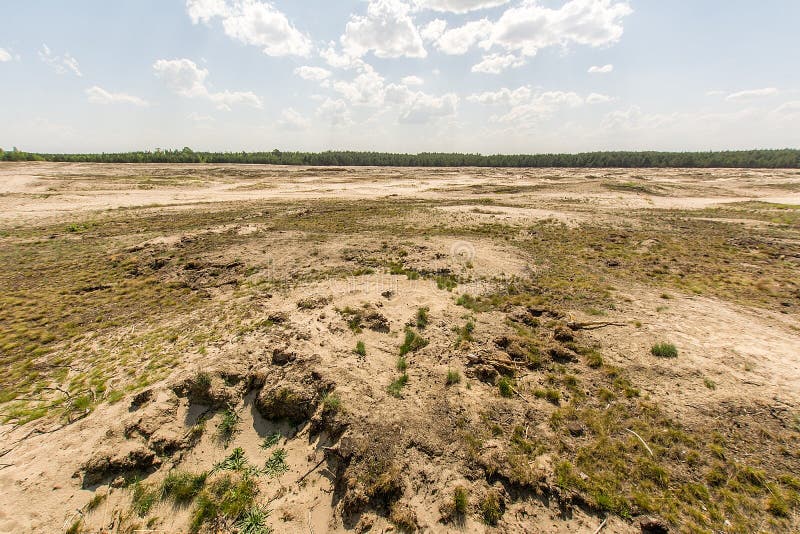 Bledowska Desert Poland stock image. Image of bright - 101644349