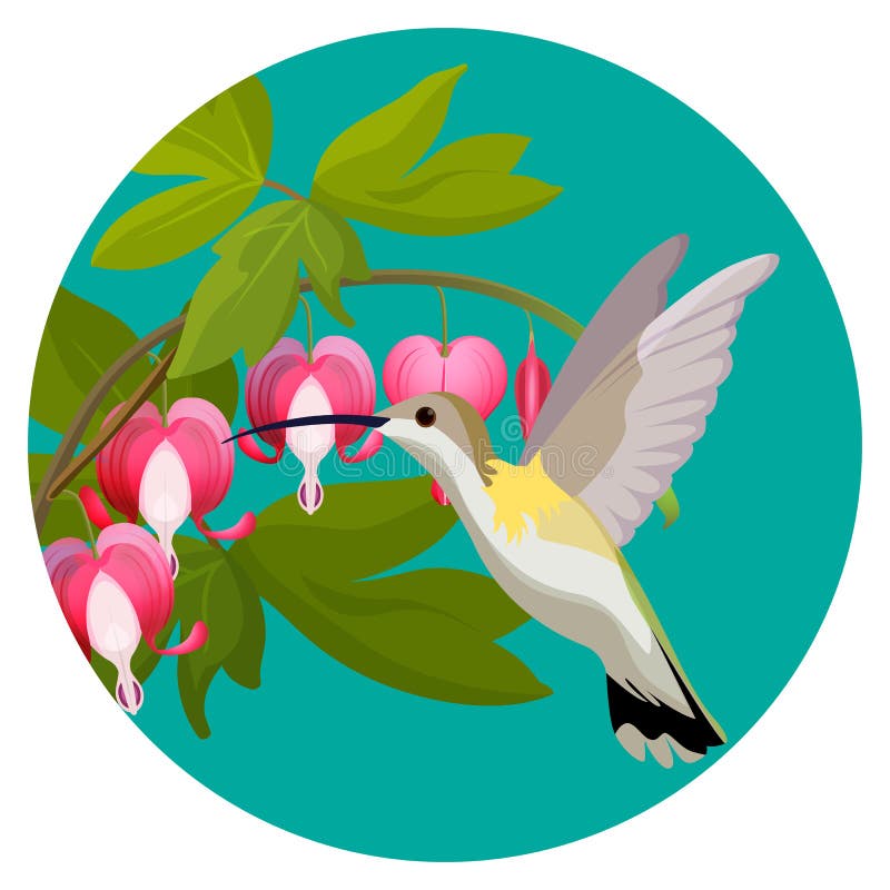 Bleeding heart flowers and hummingbird isolated realistic vector illustration