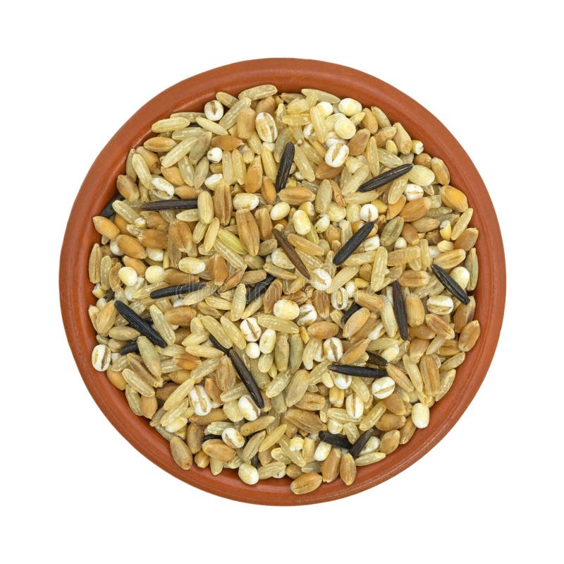 Blend of Rice and Grains in a Bowl Stock Photo Image of uncooked, white 76793242