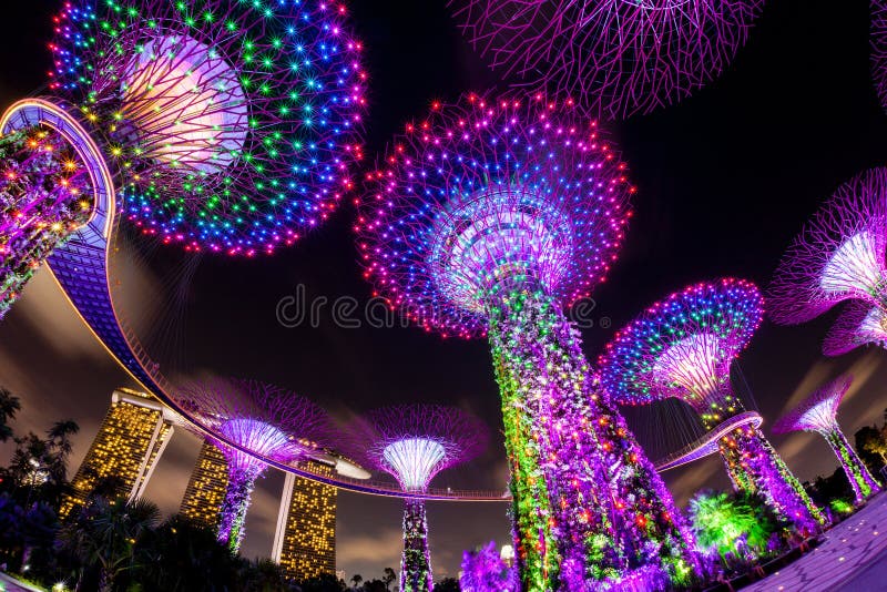 Blendungs-helle Show beim Supertree Grove und Marina Bay in der Sünde lizenzfreies stockbild Blendungs-helle Show beim Supertree Grove und Marina Bay in der Sünde lizenzfreies stockbild