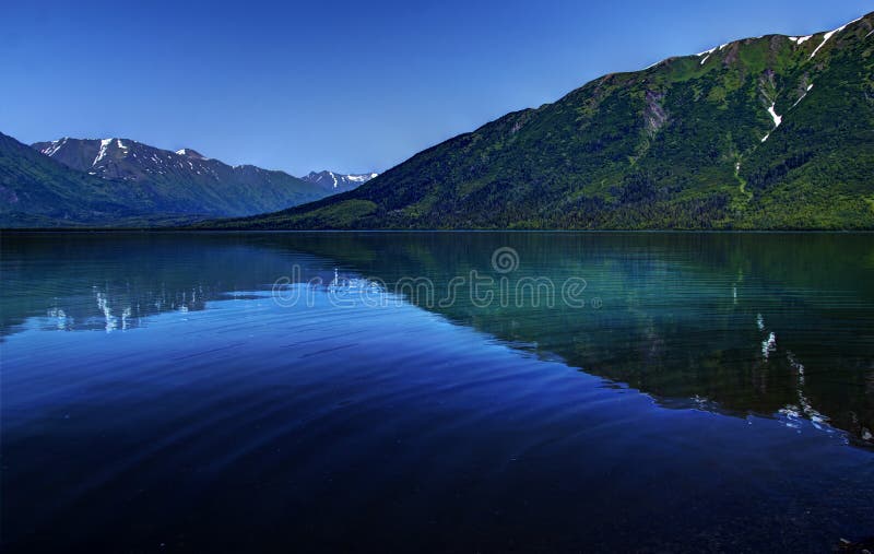 Bleus de lac Kenai