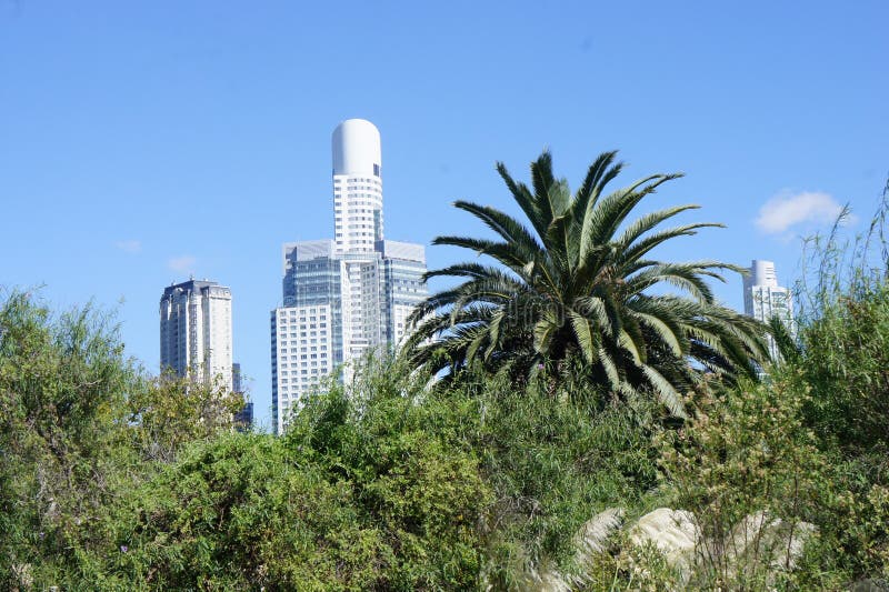 So Blickwolkenkratzer von Buenos Aires vom ?kologischen Reserve Costanera-sur stockbild So Blickwolkenkratzer von Buenos Aires vom ?kologischen Reserve Costanera-sur stockbild
