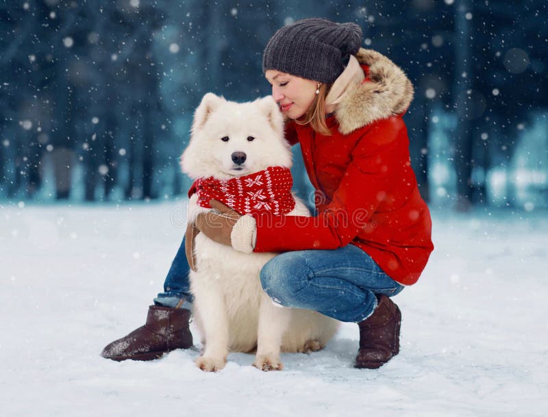 Happy woman owner petting embracing white Samoyed dog outdoors wearing red scarf while sitting on snow in winter snowy day over flying snowflakes. Happy woman owner petting embracing white Samoyed dog outdoors wearing red scarf while sitting on snow in winter snowy day over flying snowflakes