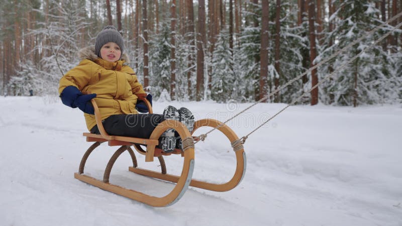 Blije chubby toddler zit in houten sledge en glimlacht gelukkig dag in bospark in de winter