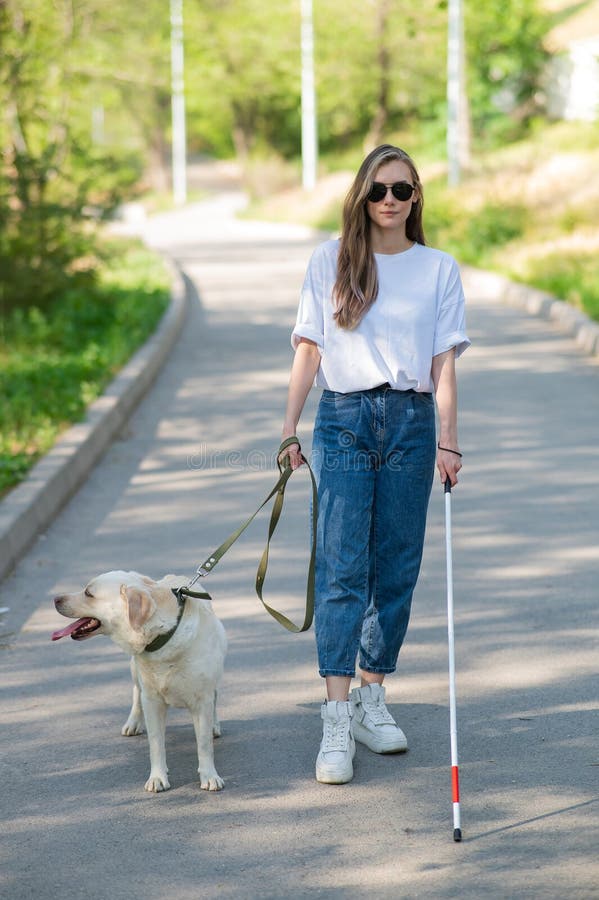 A Blind Woman Walks Her Guide Dog on the Street. Girl Hugging a