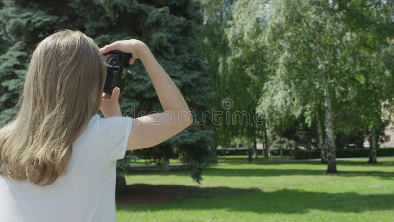 Blindad, beskådad flicka som utvärderar fotografier och tar nya bilder av solbelyst gräs med björn och fir-träd i parken