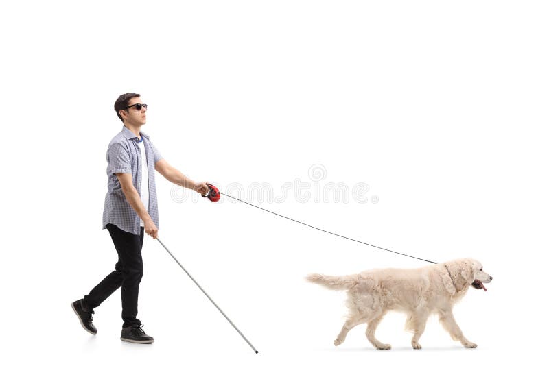 Blinder junger Mann, der mithilfe eines Hundes geht