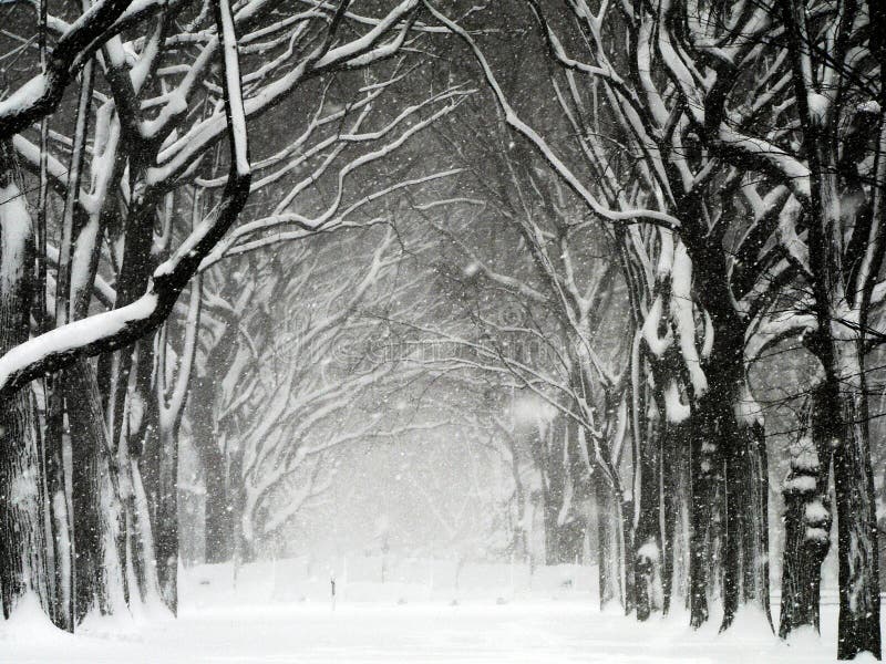 Blizzard 01 van het Central Park