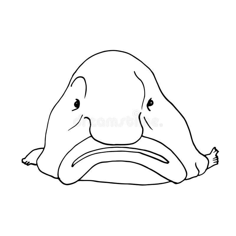 Blobfish Stock Illustrations – 43 Blobfish Stock Illustrations, Vectors &  Clipart - Dreamstime