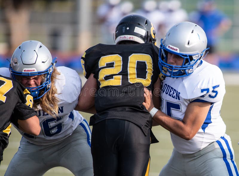Bloccare il Difensore fotografia stock libera da diritti