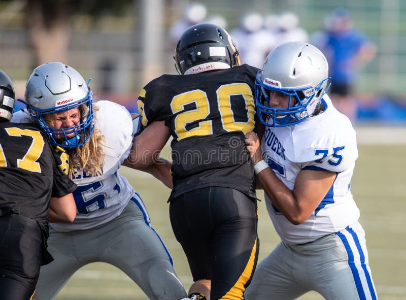 Bloccare il Difensore fotografie stock libere da diritti