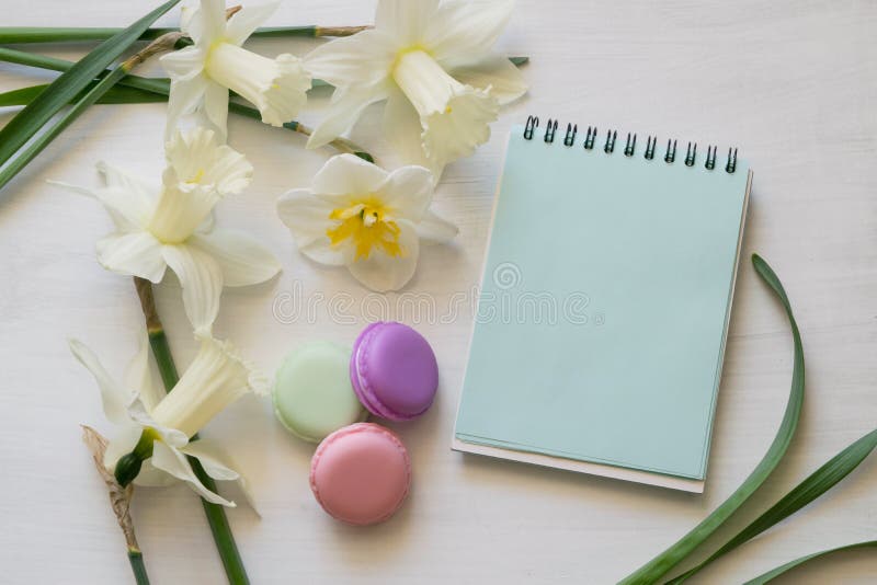 Blocnote, macarons en gele narcissen op een witte achtergrond Inspirational werkplaats royalty-vrije stock foto Blocnote, macarons en gele narcissen op een witte achtergrond Inspirational werkplaats royalty-vrije stock foto