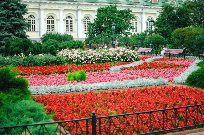 Bloeiende bloembedden in Alexander Garden royalty-vrije stock afbeeldingen Bloeiende bloembedden in Alexander Garden royalty-vrije stock afbeeldingen