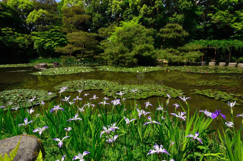 Bloeiende Japanse tuin van Heian-Heiligdom, Kyoto Japan royalty-vrije stock afbeeldingen Bloeiende Japanse tuin van Heian-Heiligdom, Kyoto Japan royalty-vrije stock afbeeldingen