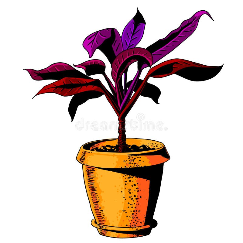 Bloem in een bloempot Kleurenvector vector illustratie Bloem in een bloempot Kleurenvector vector illustratie