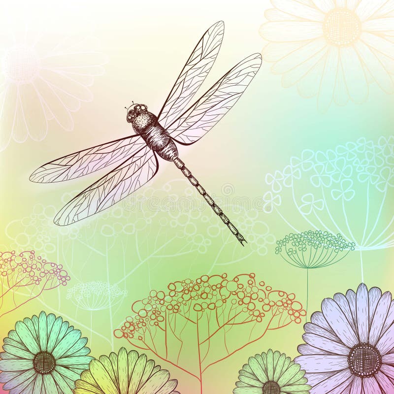 Flower background sketch with dragonfly. Flower background sketch with dragonfly