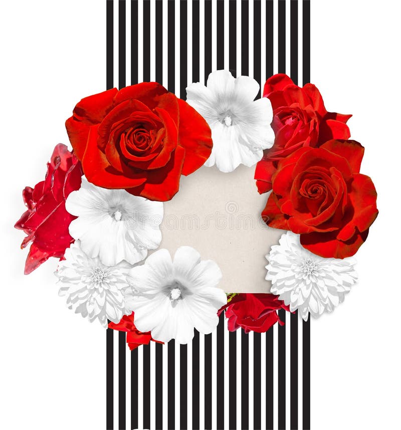 Bloembanner Heldere rode rozen en witte malve, rudbeckiabloem op de witte zwarte gestreepte achtergrond royalty-vrije illustratie Bloembanner Heldere rode rozen en witte malve, rudbeckiabloem op de witte zwarte gestreepte achtergrond royalty-vrije illustratie